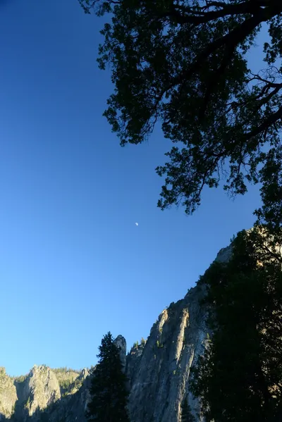 DSC_2447 (Large).JPG